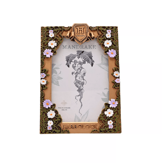 Cadre Botanique Mandragore - La Muchette