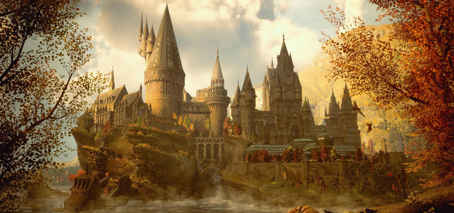 collection-banner-image
