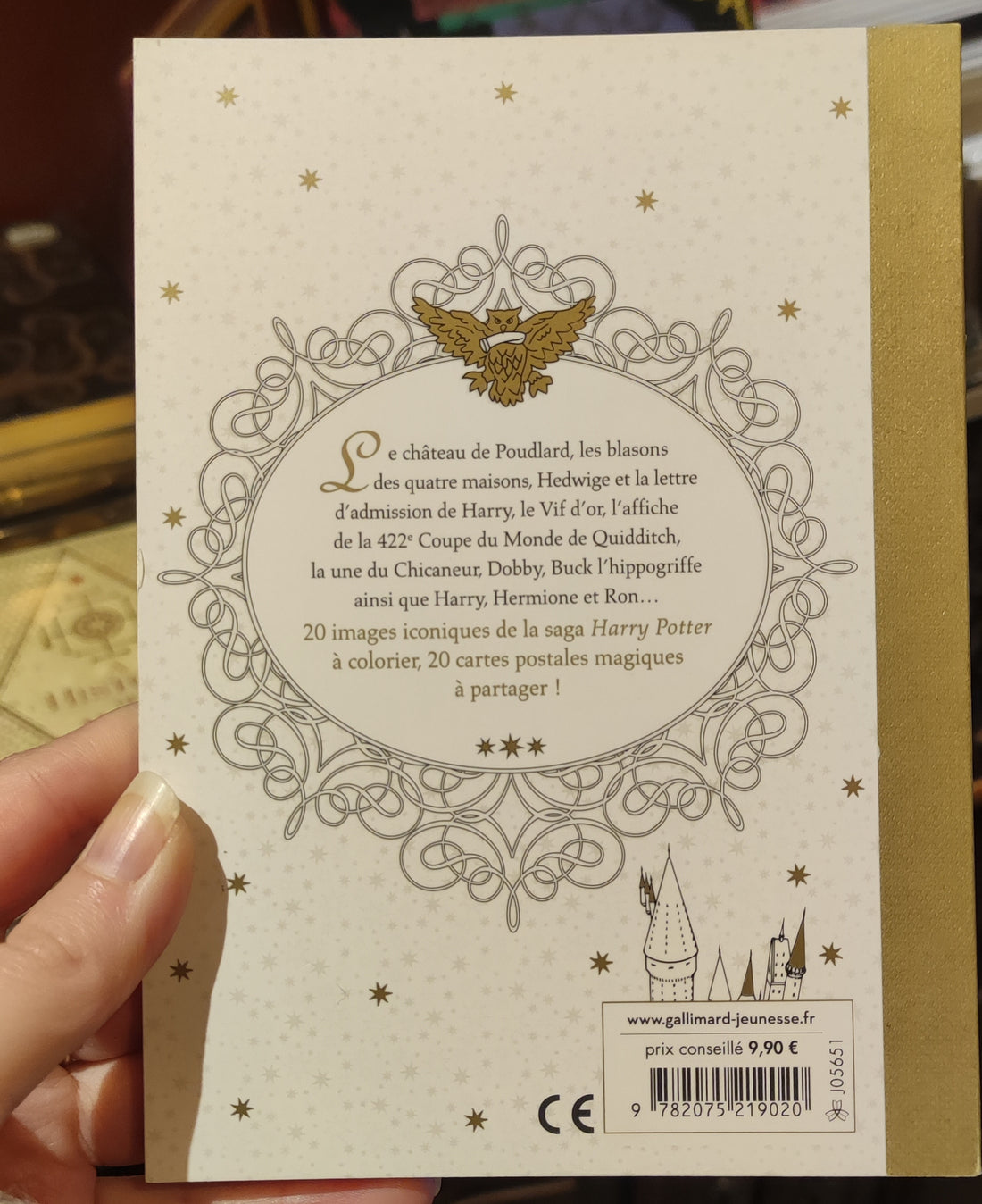 20 cartes postales Harry Potter à colorier - La Muchette