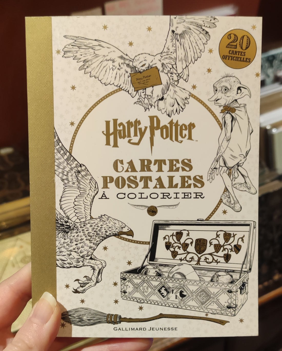 20 cartes postales Harry Potter à colorier - La Muchette