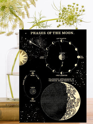 Cartes de voeux - Phases de la lune - La Muchette