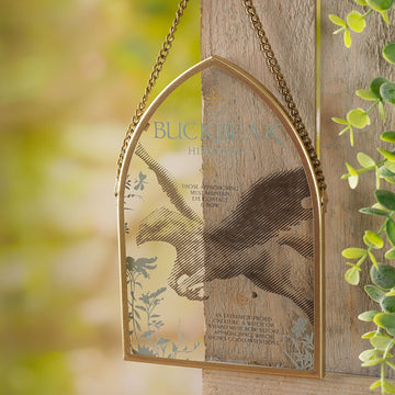 Plaque Arche - Buck - La Muchette