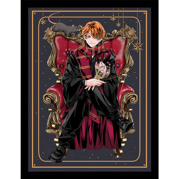 Cadre - Ron Weasley (dynastie)