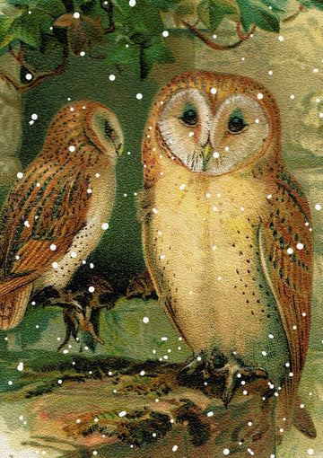 Carte de noël - Chouettes - La Muchette