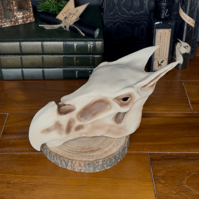 Crâne de Sombral - La Muchette