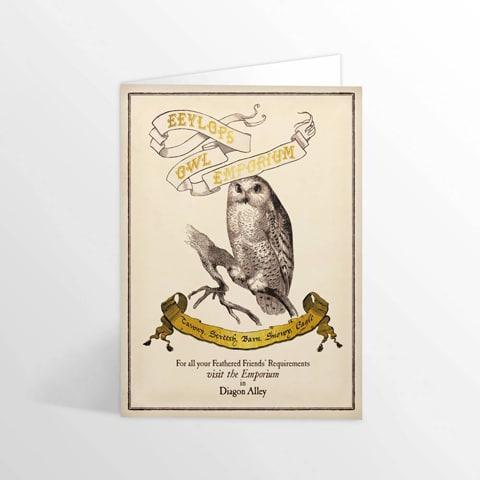 Carte 2 volets Eeylop's Owl Emporium - La Muchette