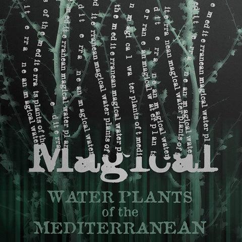 Carte 2 volets Plantes aquatiques - La Muchette