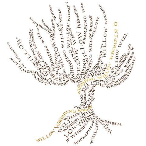 Carte 2 volets Saule Cogneur - La Muchette