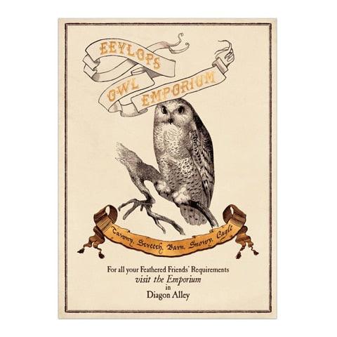 Poster - Eeylops Owl Emporium - La Muchette