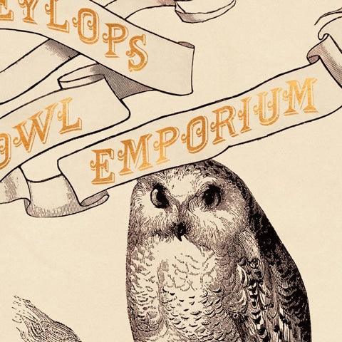 Poster - Eeylops Owl Emporium - La Muchette