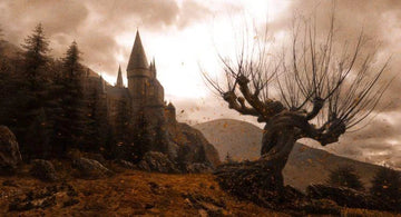 harry potter automne