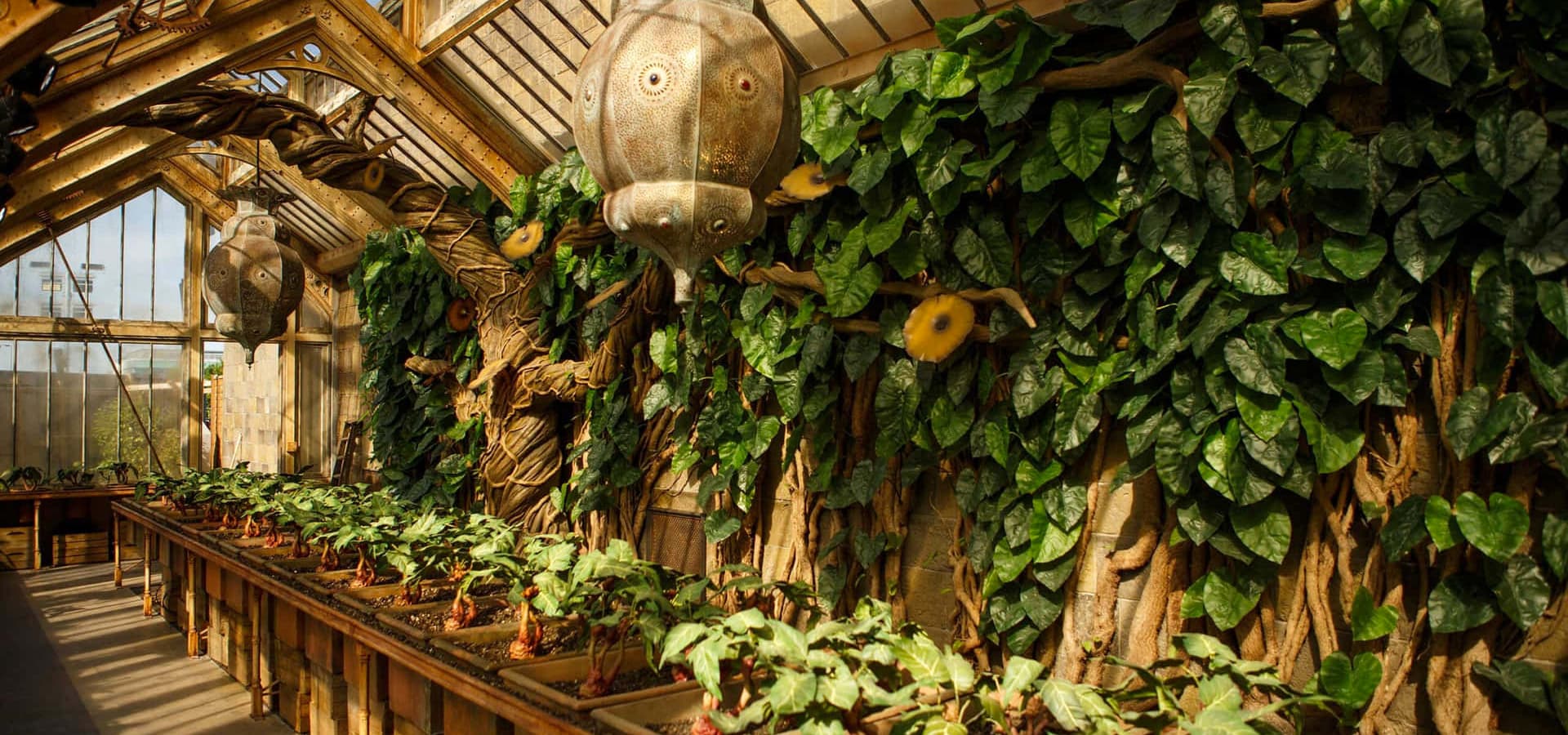 Botanique et Soins aux créatures magiques