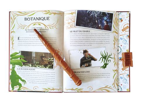 Le guide la magie à poudlard - Sortilèges - La Muchette