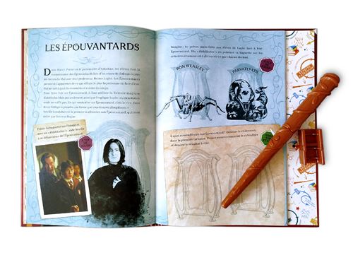 Le guide la magie à poudlard - Sortilèges - La Muchette