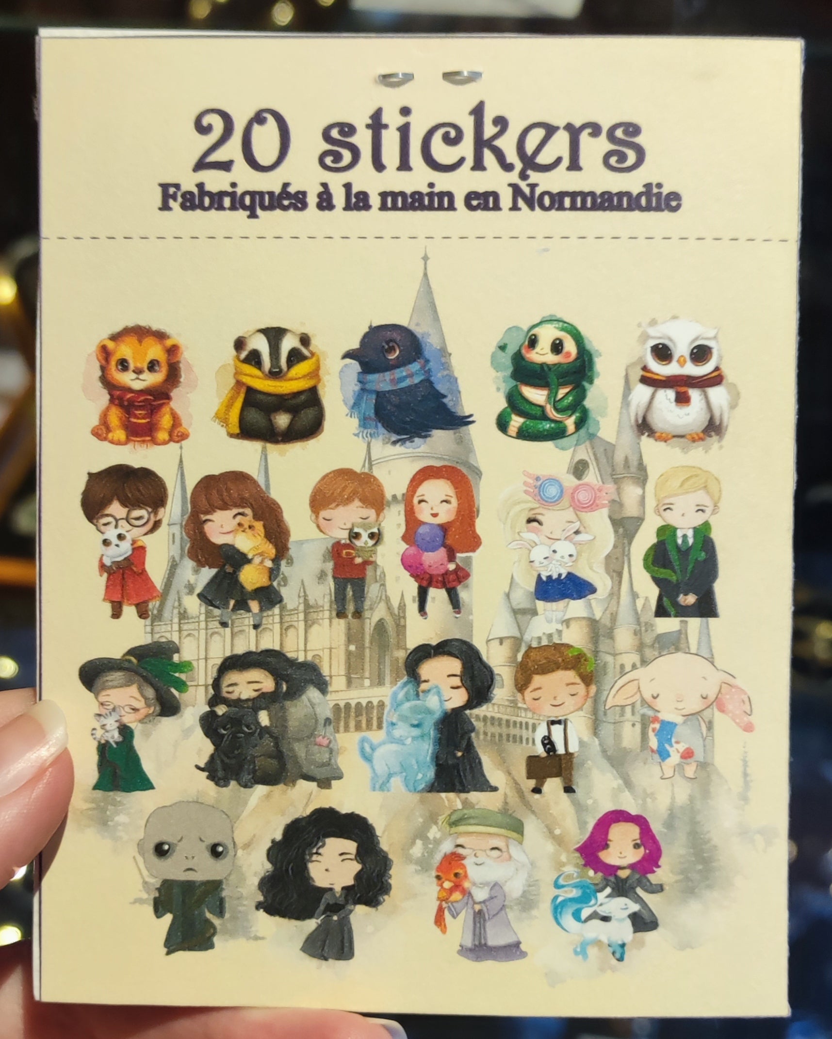 Pack 20 Stickers - Monde de la Magie - La Muchette