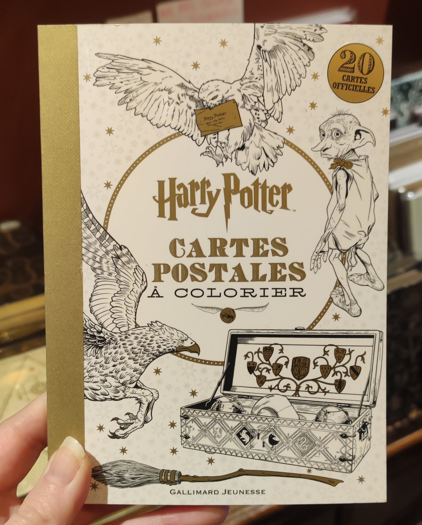 20 cartes postales Harry Potter à colorier