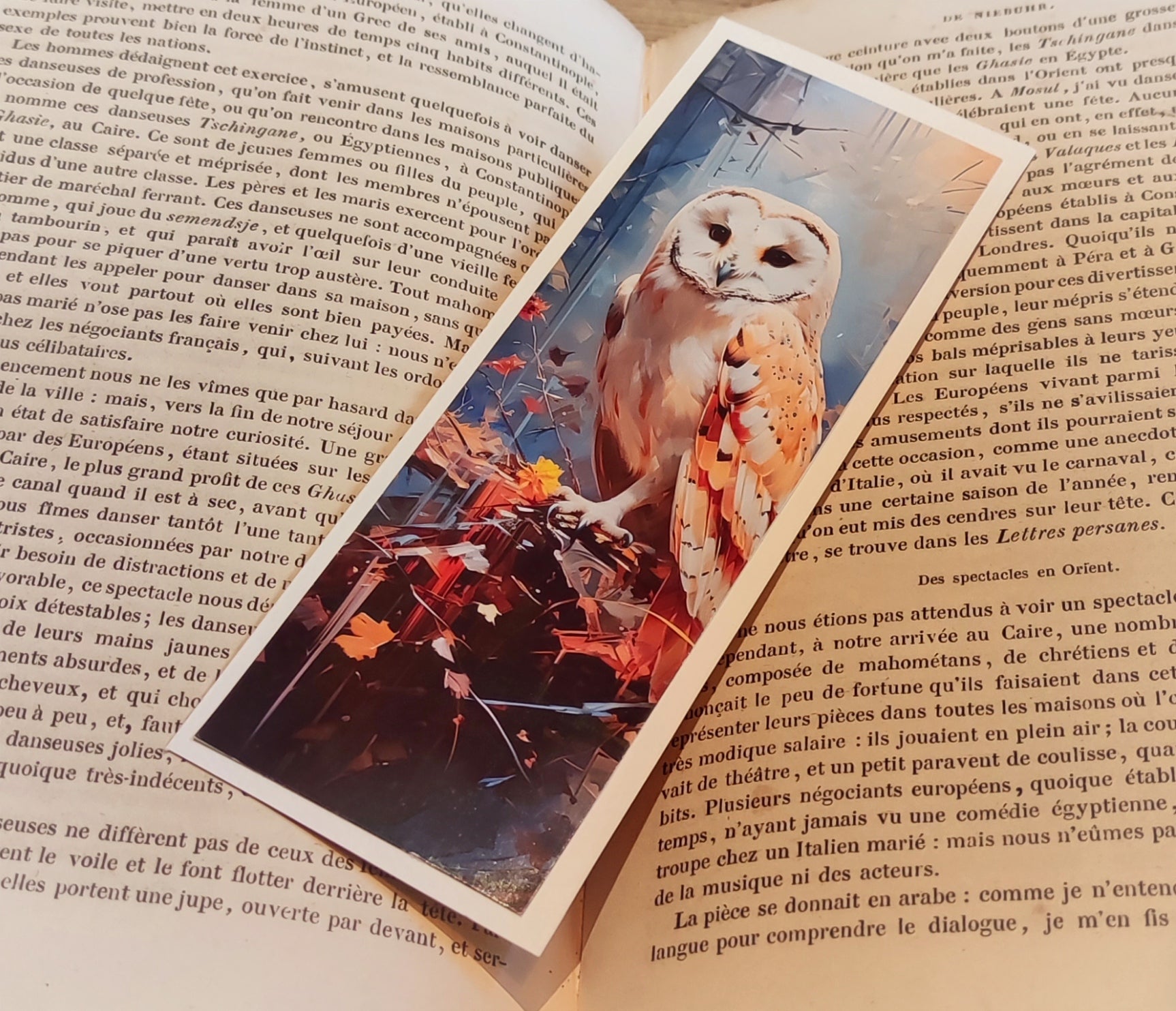 Marque page - Chouette Rousse - La Muchette
