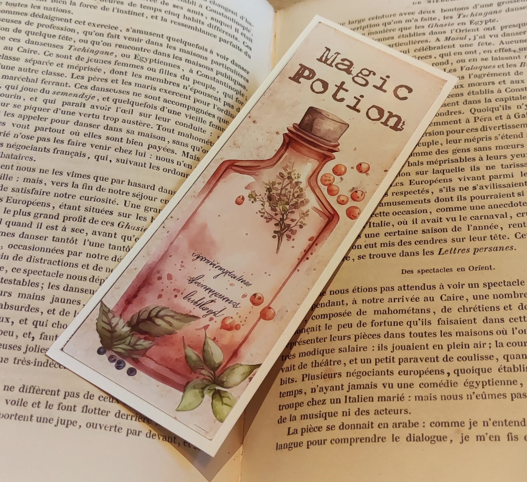 Marque page - Potion rouge - La Muchette