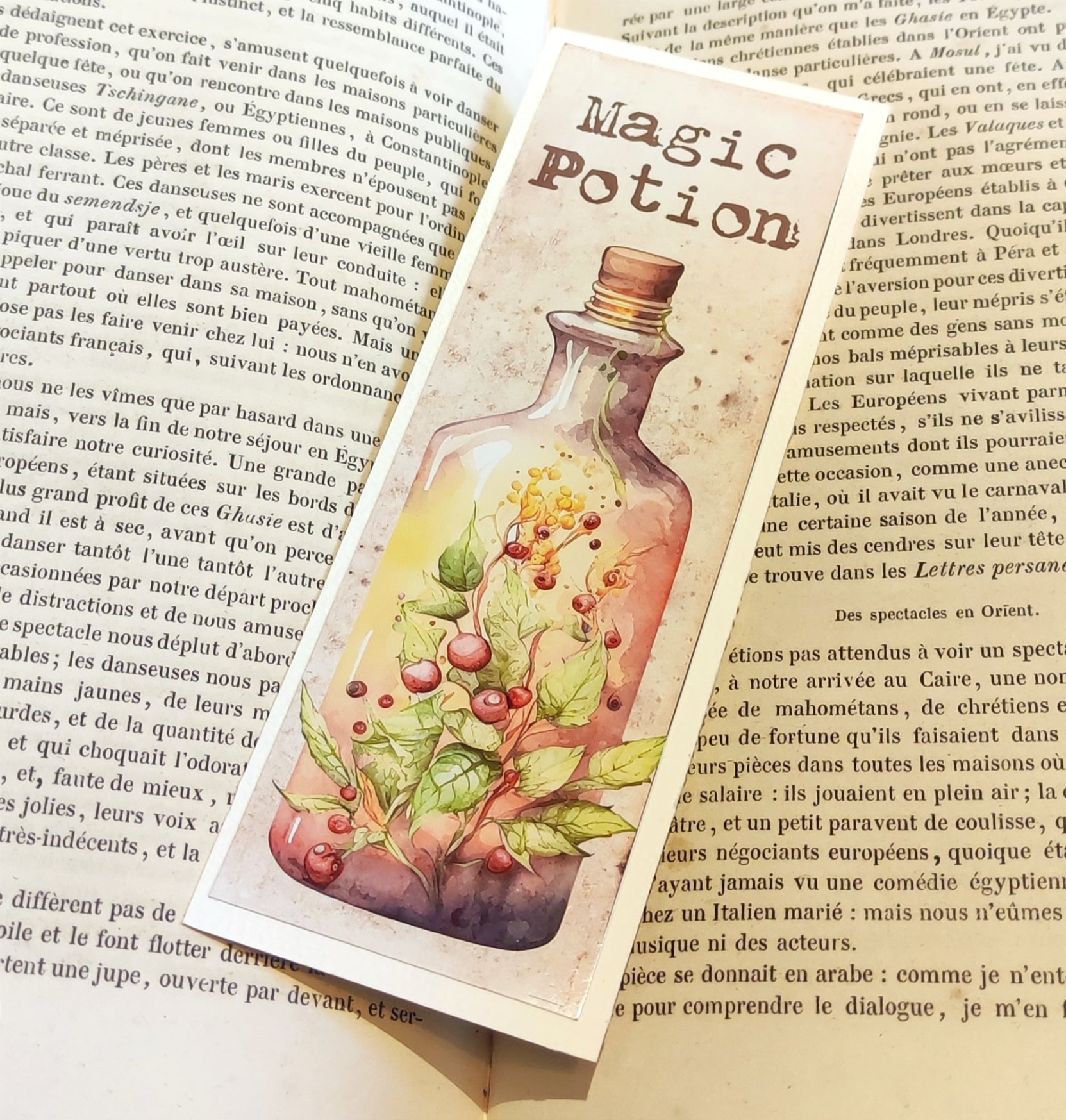 Marque page - Baies roses - La Muchette