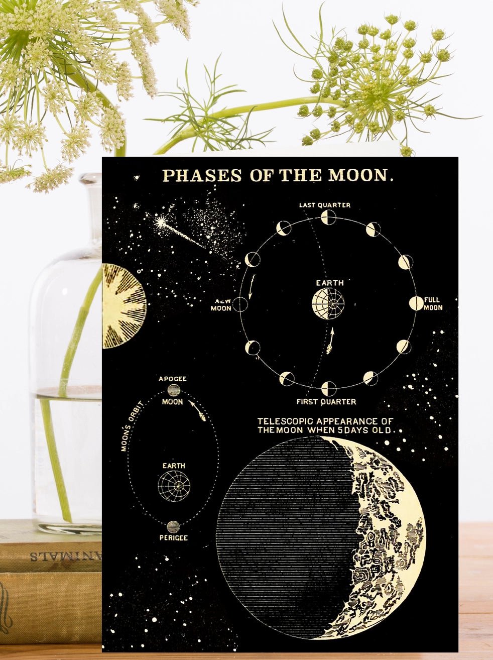 Cartes de voeux - Phases de la lune - La Muchette