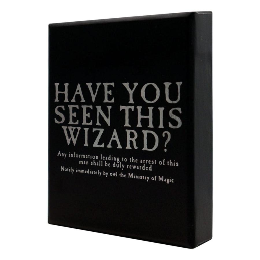 Collier Plaque d'Azkaban - Édition Limitée | La Muchette