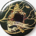 Badge tapisserie famille Black Harry Potter - Sirius Black - La Muchette