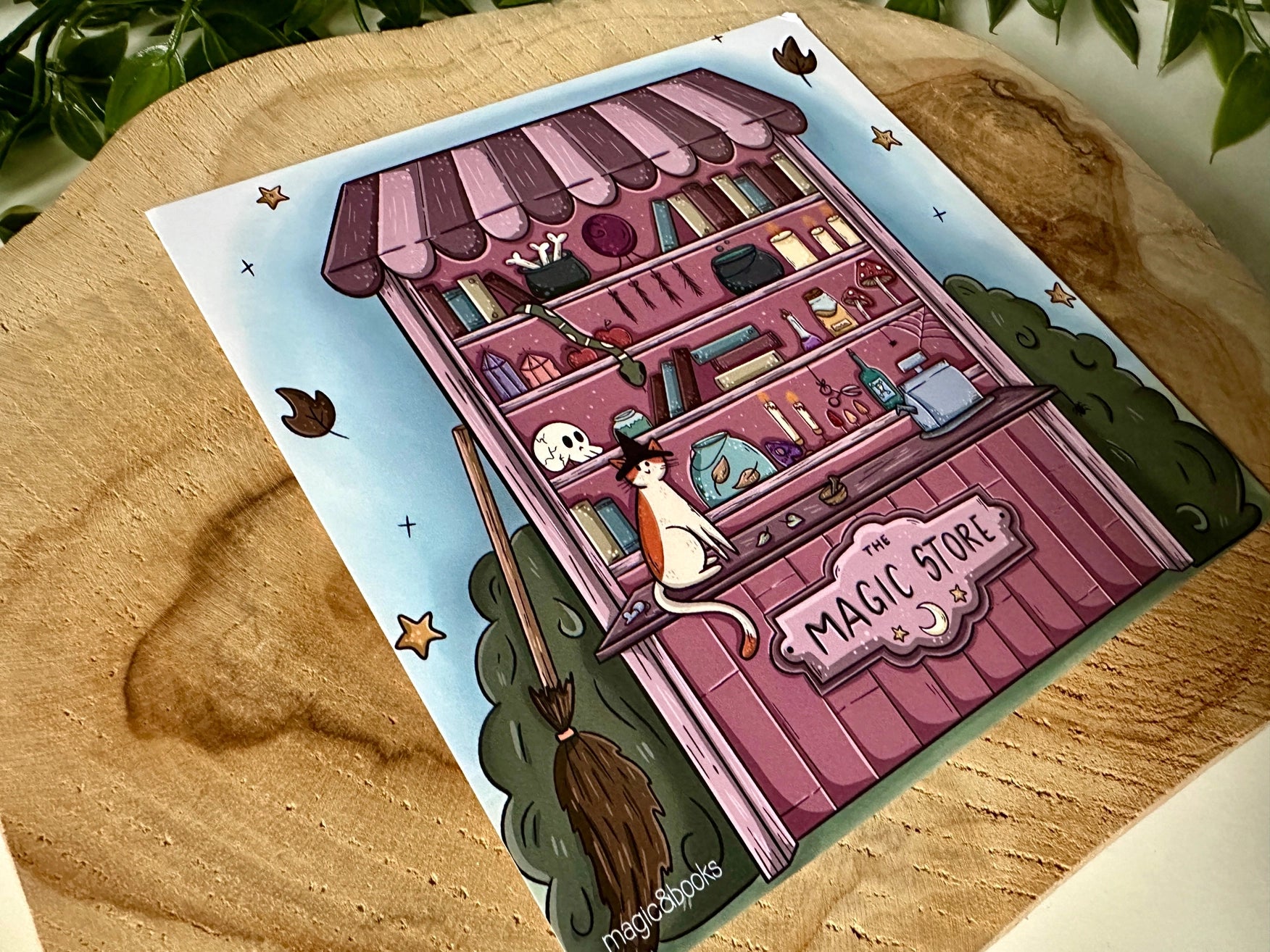 Carte postale - Boutique Magique - La Muchette