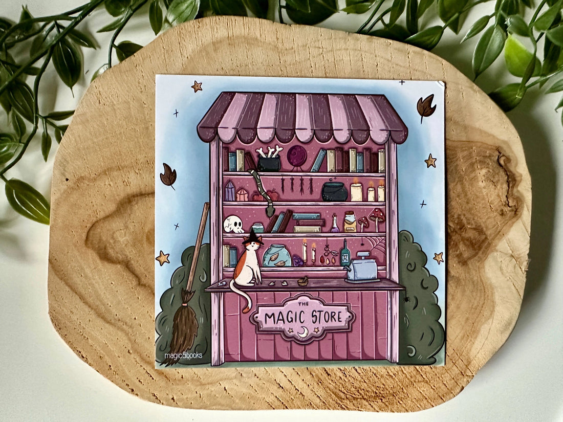 Carte postale - Boutique Magique - La Muchette