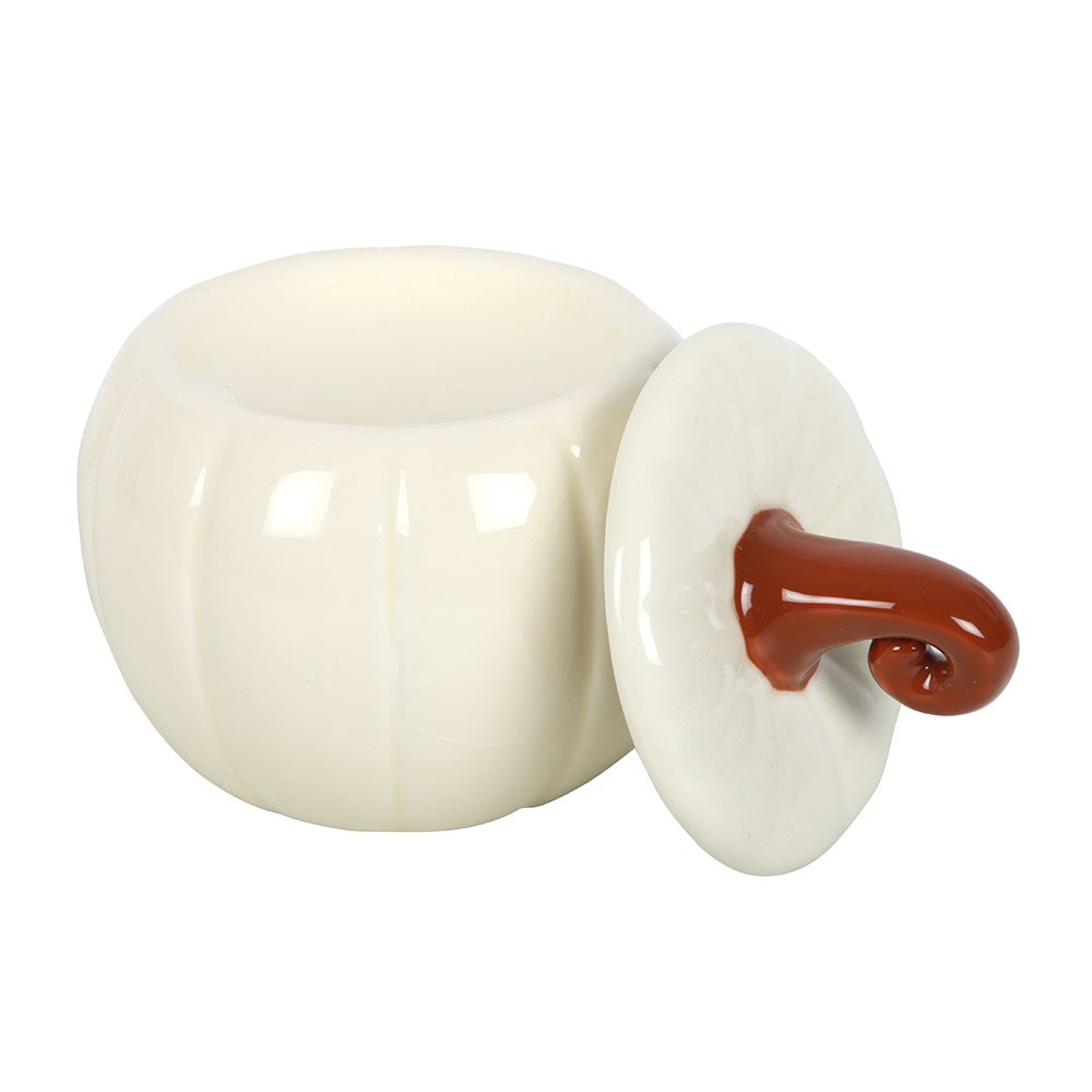 Brûle Parfum Citrouille Blanche