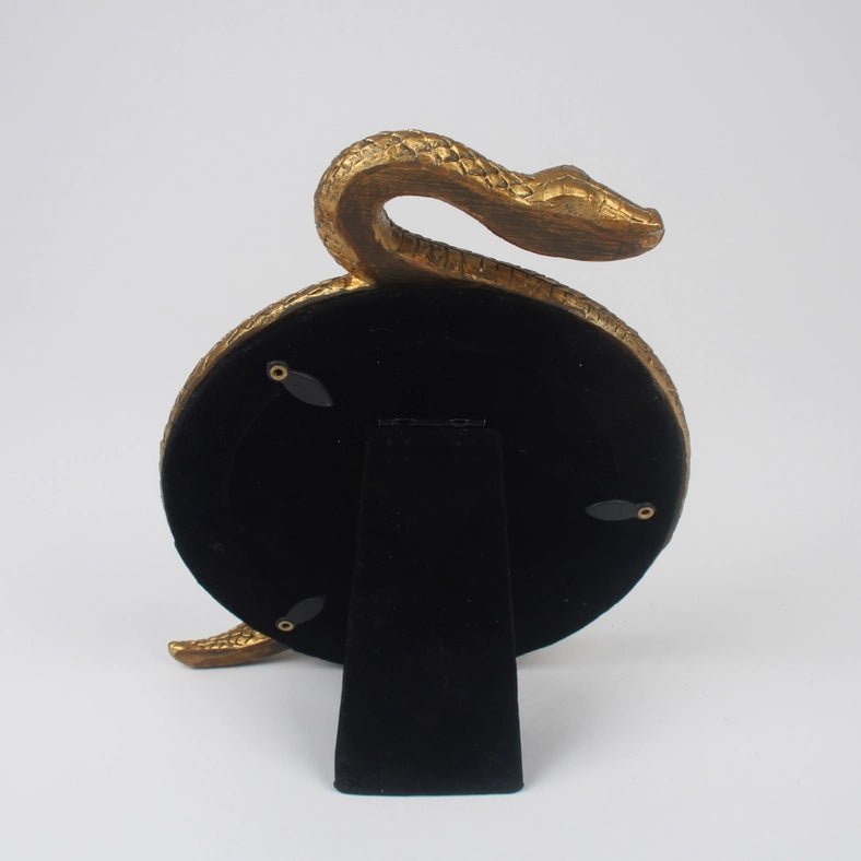 Cadre photo Serpent doré - La Muchette