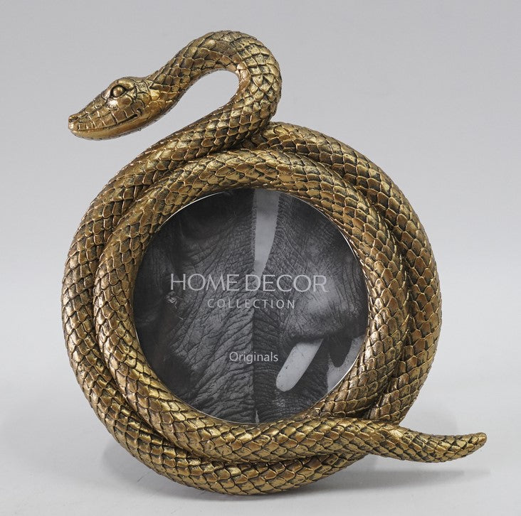 Cadre photo Serpent doré