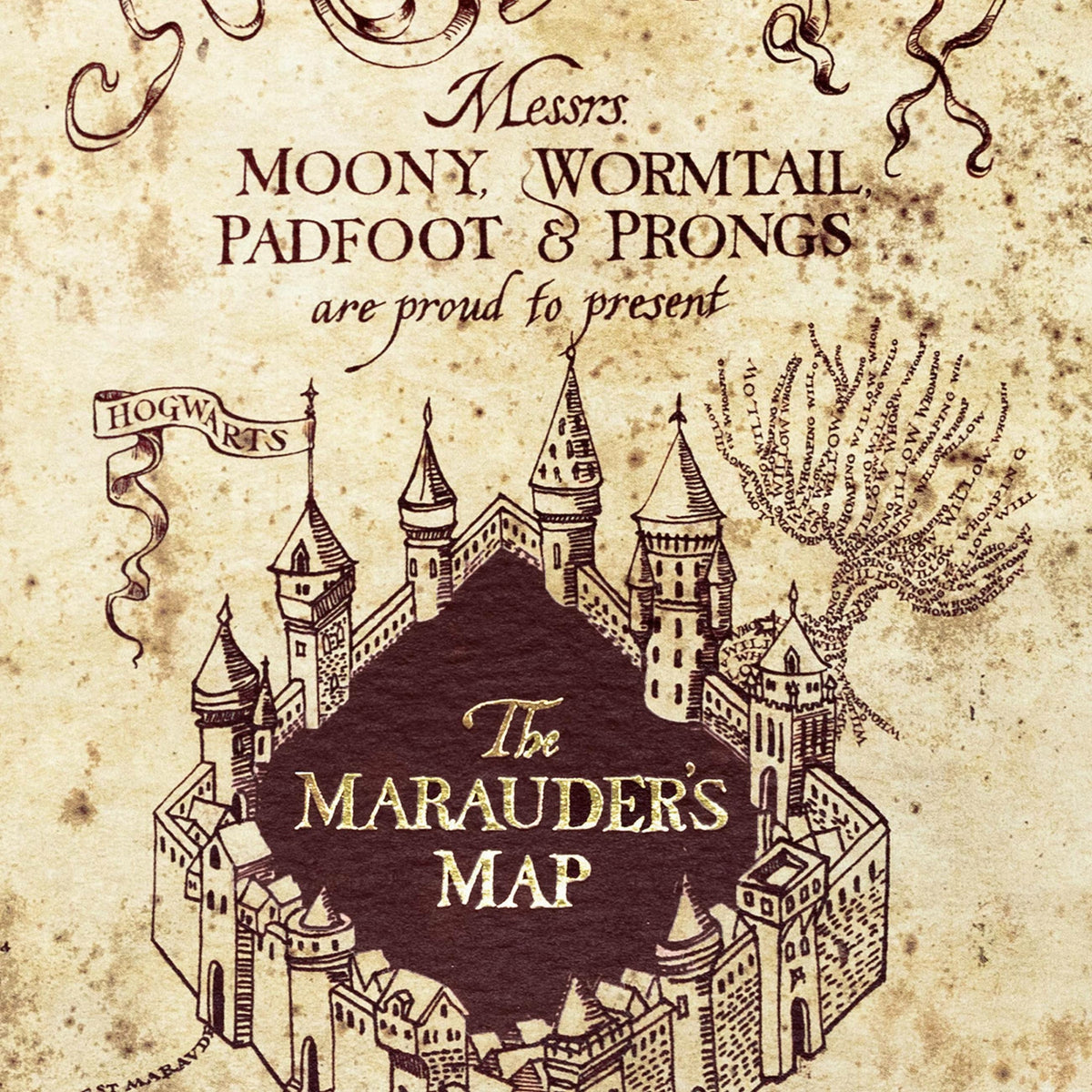 Carte 2 volets Carte du Maraudeur - La Muchette