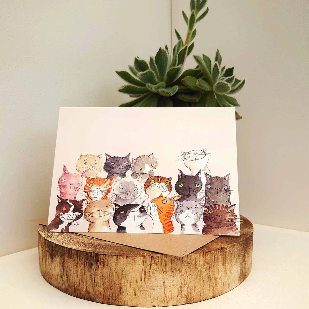 Carte Tribu de Chats