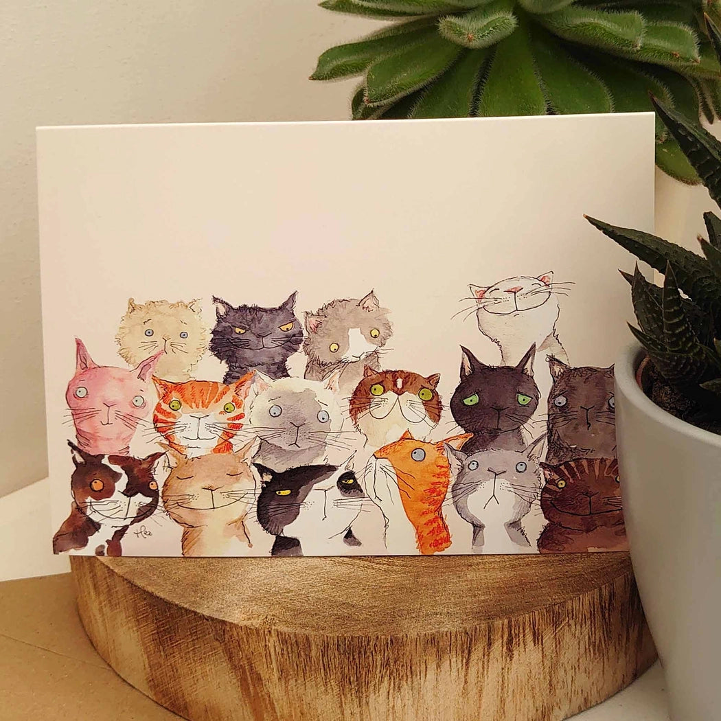 Carte Tribu de Chats