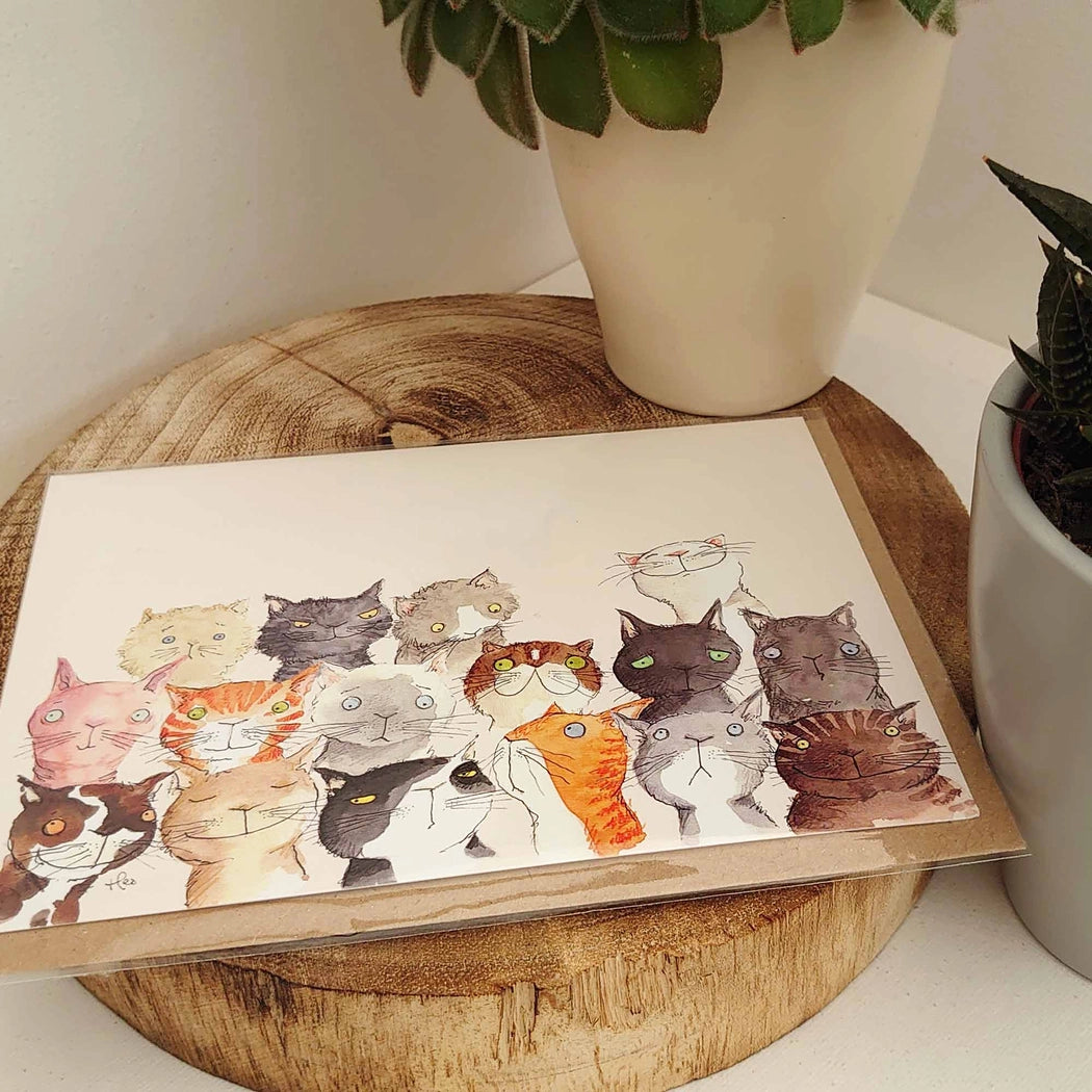 Carte Tribu de Chats
