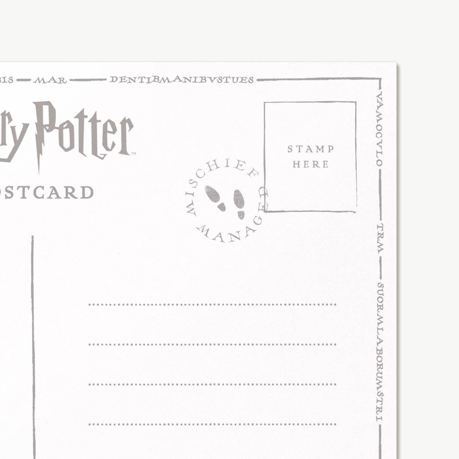 Carte postale Harry Potter illustrée par MinaLima - Message au Professeur Rogue - La Muchette