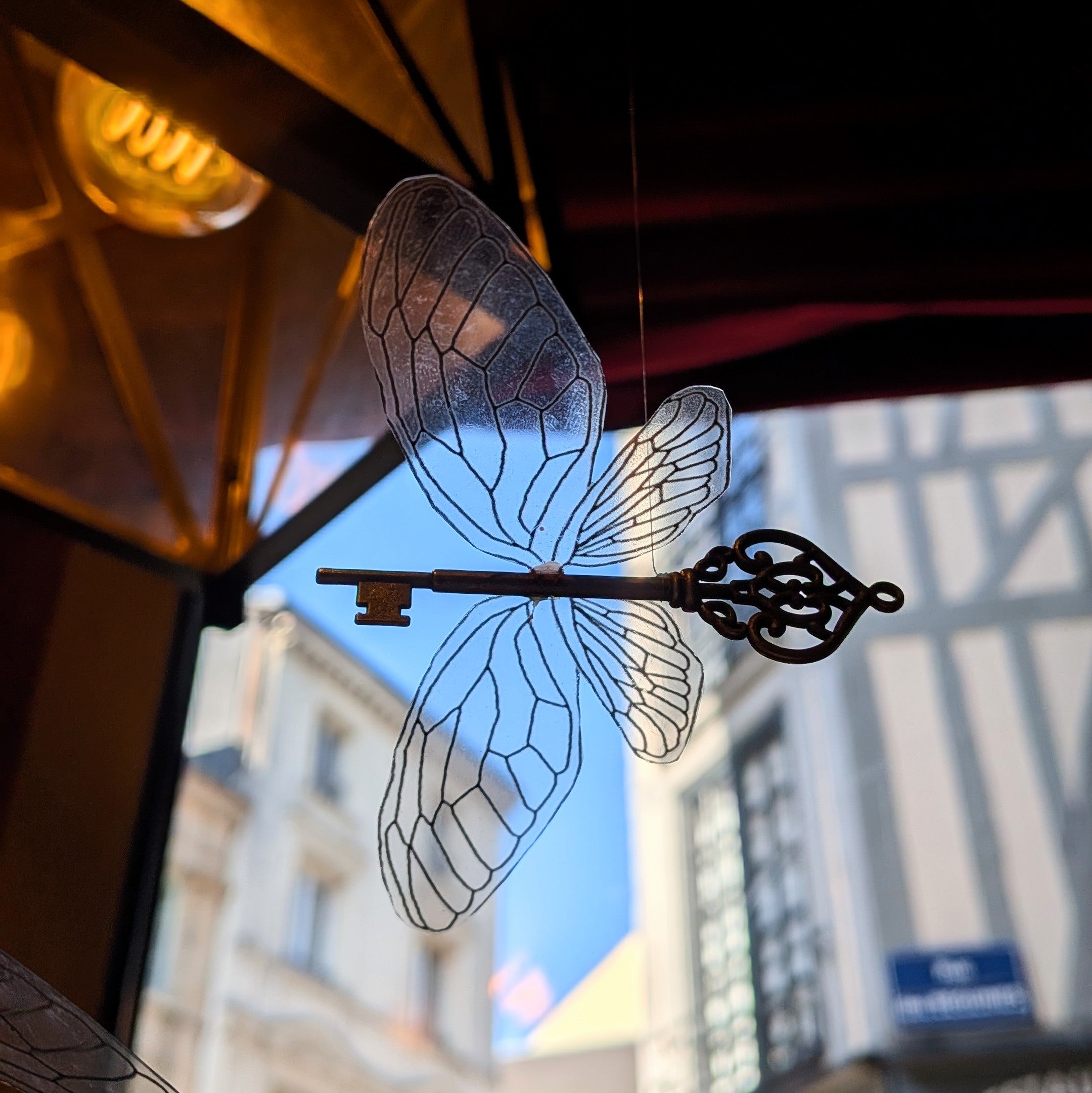 Clés volantes transparentes - En suspension