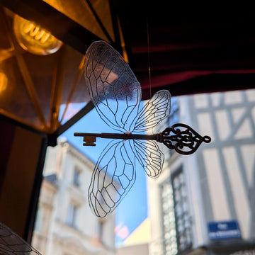 Clés volantes transparentes - En suspension