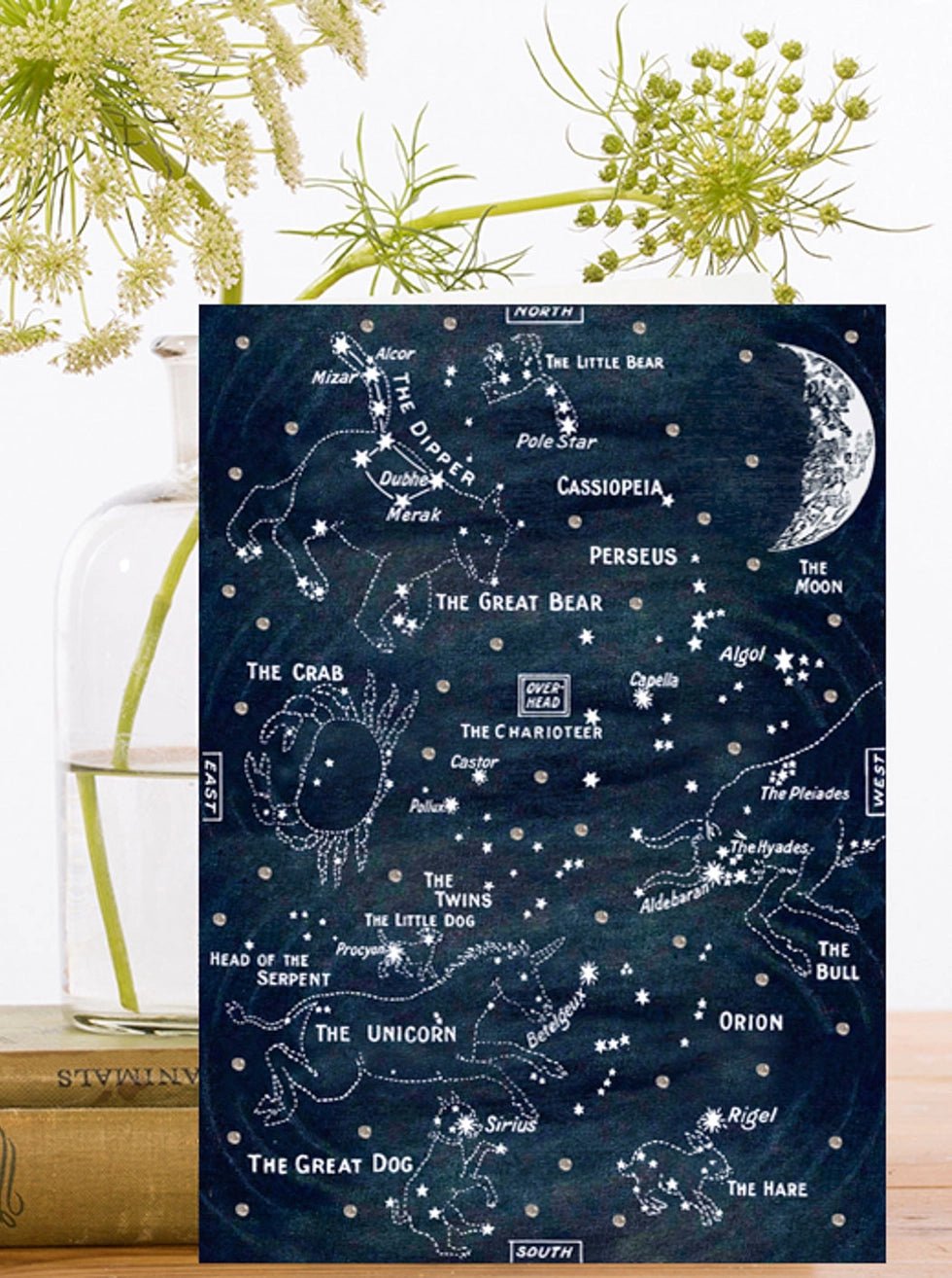 Carte de voeux - Constellations - La Muchette
