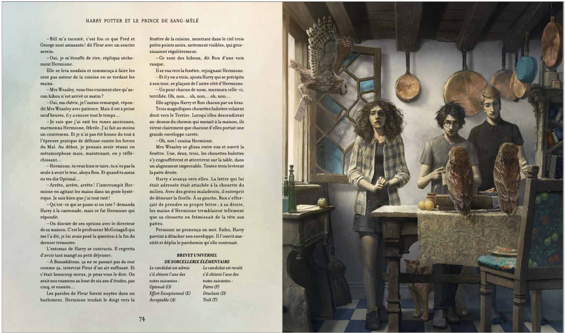 Harry Potter et le Prince de Sang Mêlé - Version illustrée