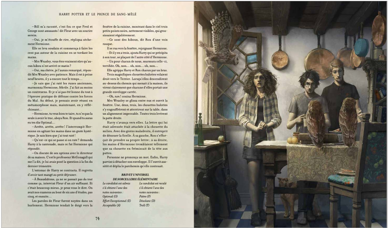 Harry Potter et le Prince de Sang Mêlé - Version illustrée