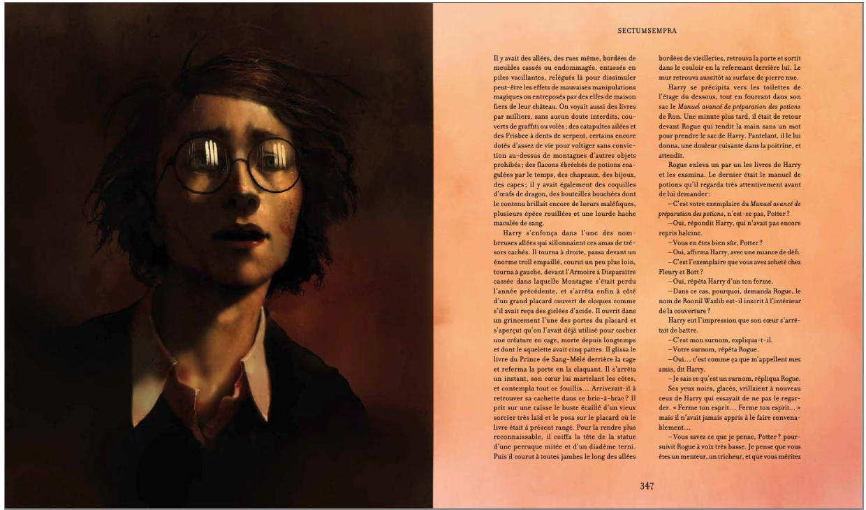 Harry Potter et le Prince de Sang Mêlé - Version illustrée