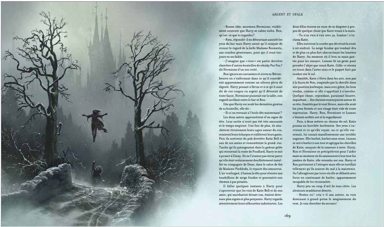 Harry Potter et le Prince de Sang Mêlé - Version illustrée