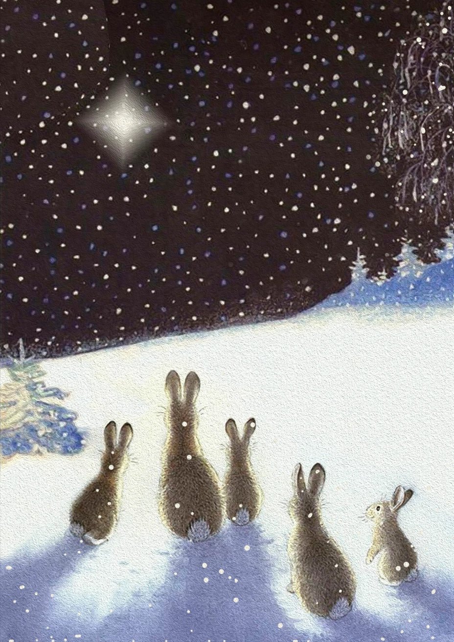 Carte de noël - Lapins dans la nuit - La Muchette
