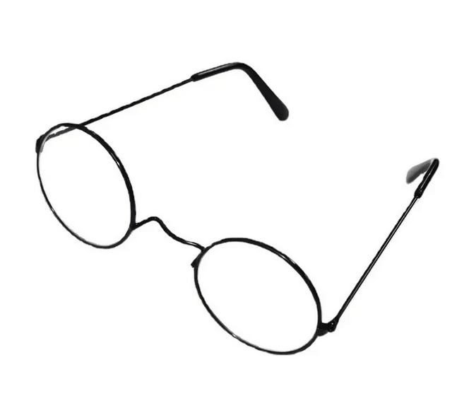 Lunettes de Harry Potter - Déguisement - La Muchette