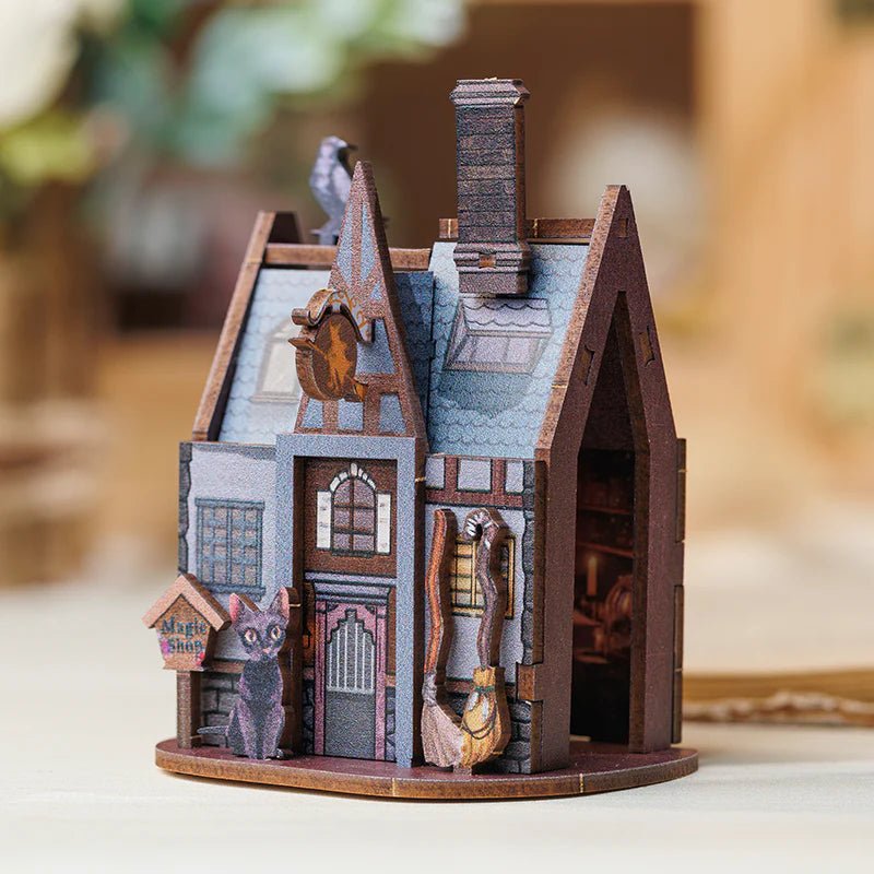 Magnet Puzzle - Boutique de Magie - La Muchette