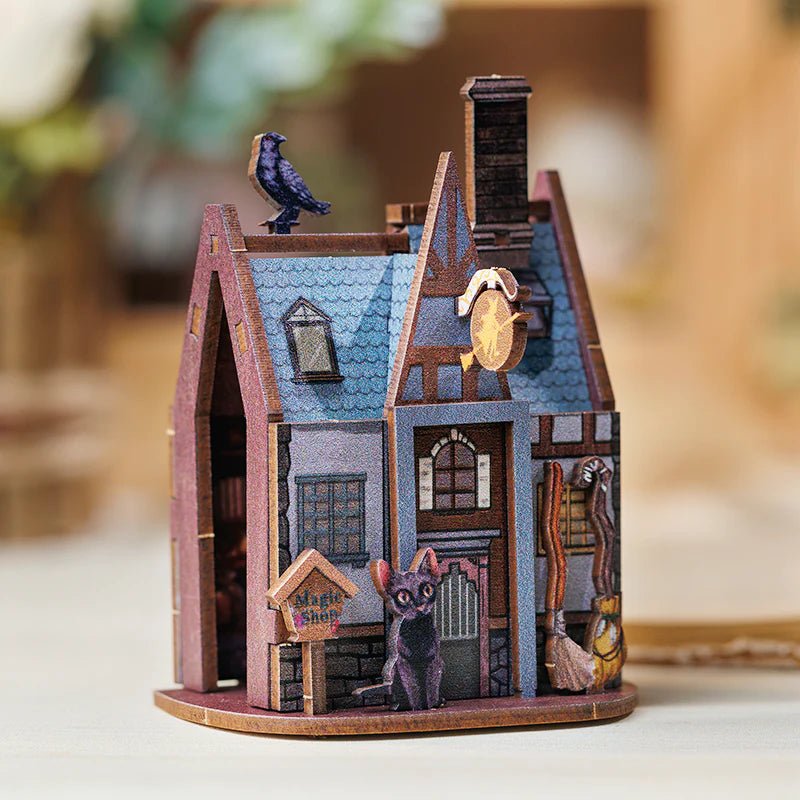 Magnet Puzzle - Boutique de Magie - La Muchette