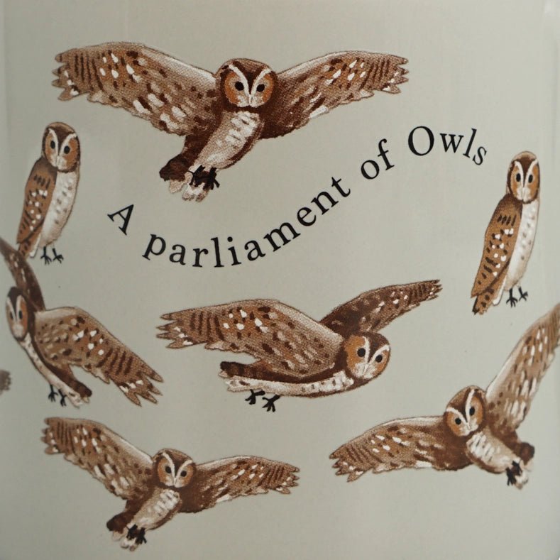 Mug - Parlement Des Chouettes - La Muchette