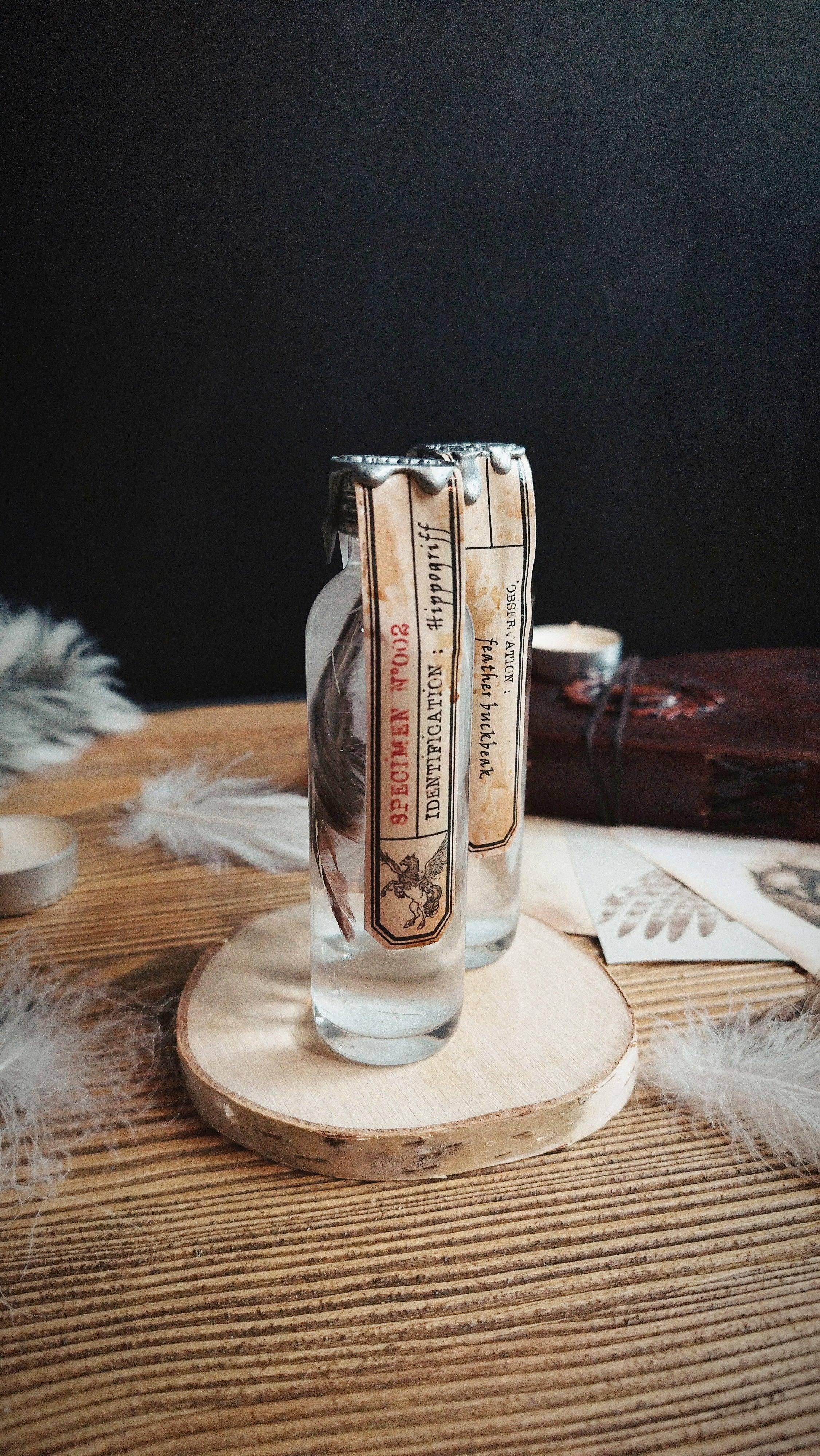 Potion Hippogriffe - La Muchette
