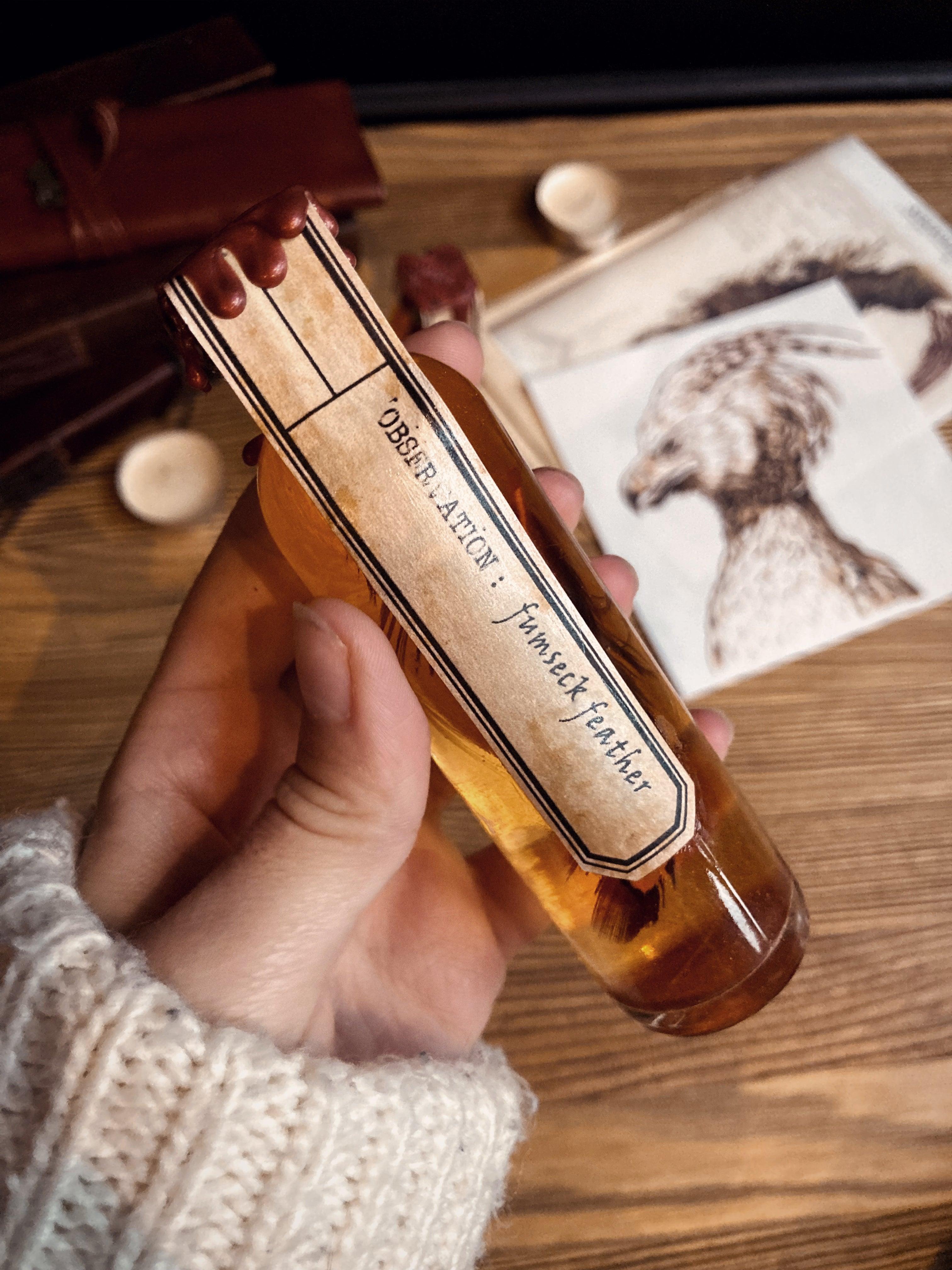 Potion Phénix - La Muchette